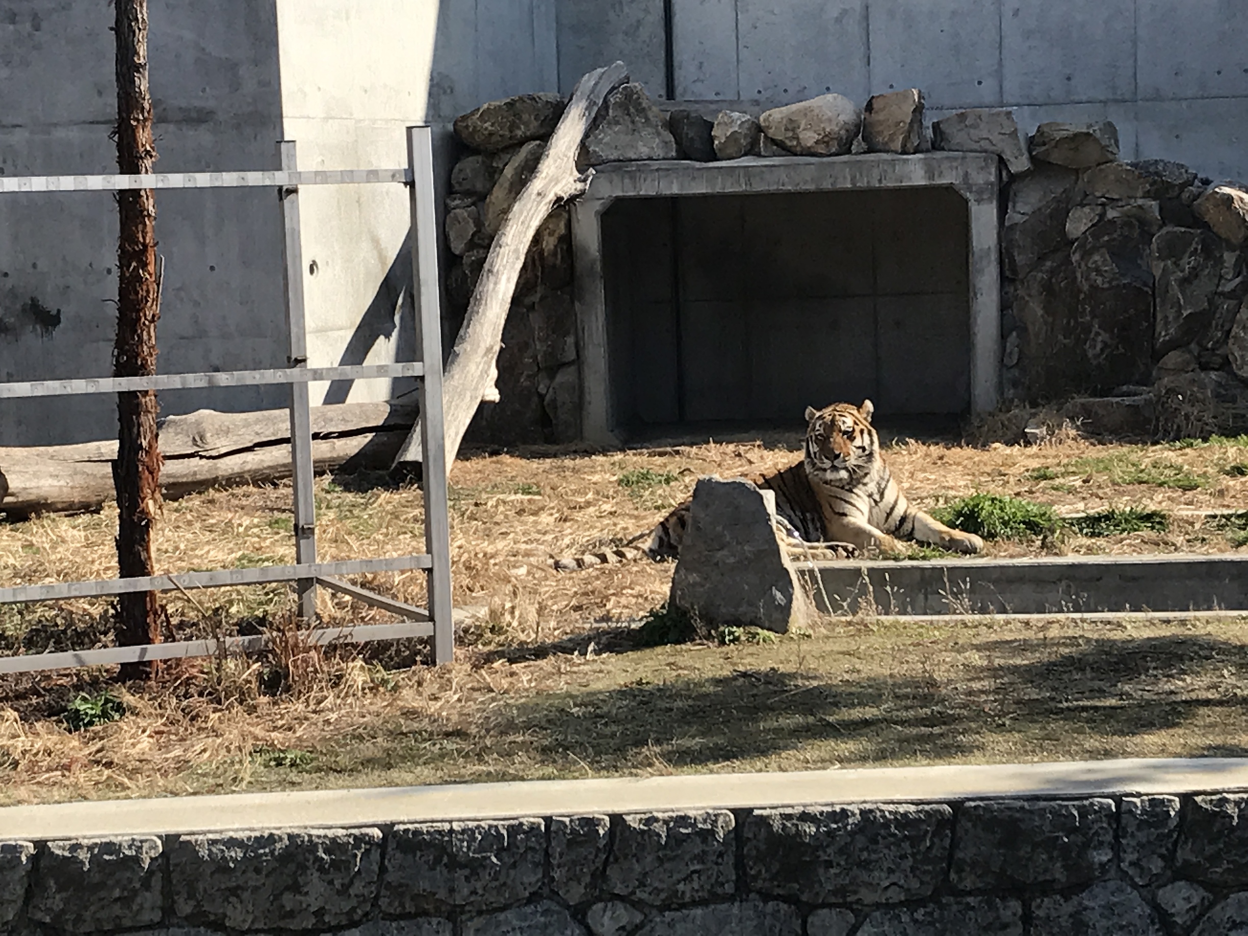 2017-03-15 094811.JPG - 日本